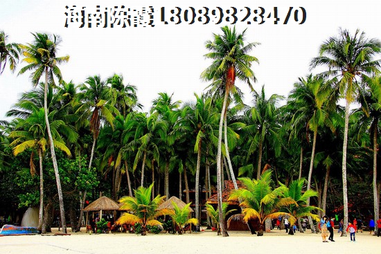 金鹿雅苑金鹿雅苑戶型都有哪些？