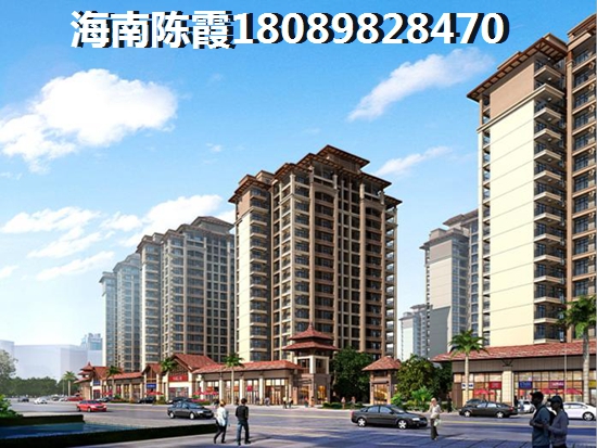 >2024海南購(gòu)房解析