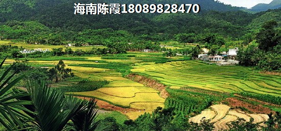 海南儋州哪個項目有touzi前景2