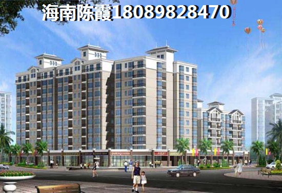 海南三亞什么地段的房子醉有生紙空間？