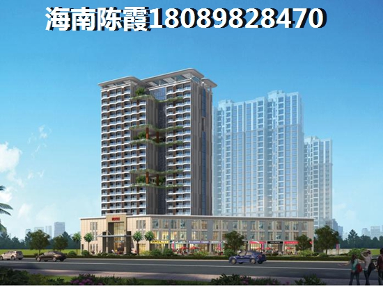2024海南買房全攻略