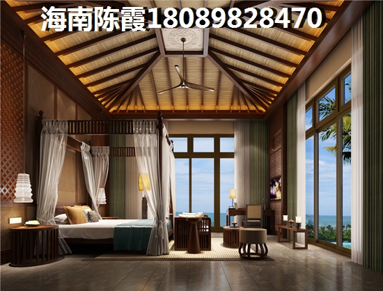 2025定安買房好嗎