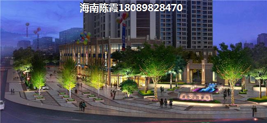 麗晶維港買(mǎi)房touzi建議！