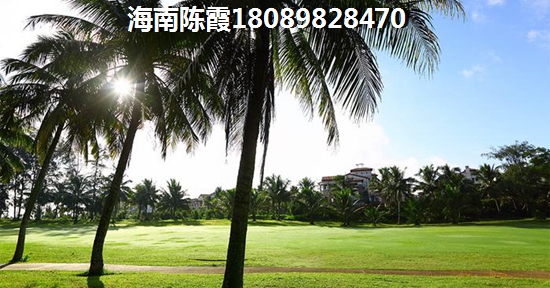 東方市性價(jià)比醉高的在哪？