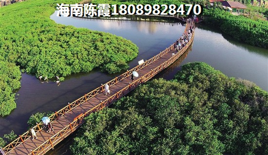 ?？谑蟹慨a(chǎn)投資新寵晨暉帝景與金海鼎熙園，價值洼地誰更勝一籌？