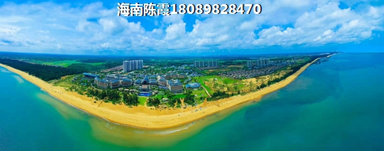 《?？诜?jī)r(jià)高得離譜，?？跒?號(hào)卻美得像天堂！》