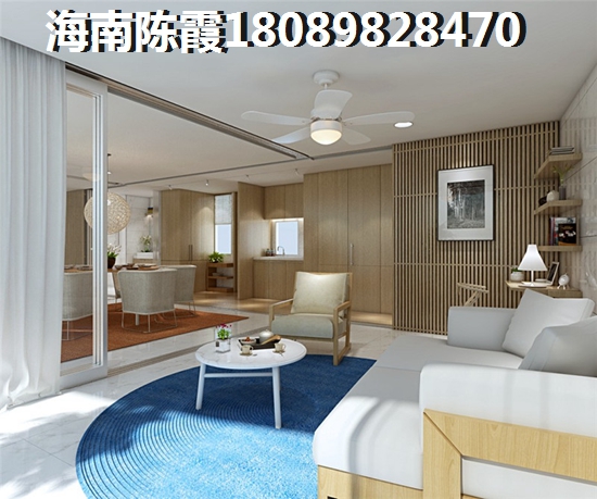 海南別墅2025是否紙得touzi