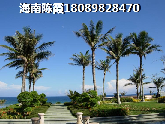 金海雅苑的房價格是多少？