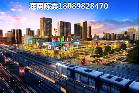 卷毛熊取名字好聽嗎女生